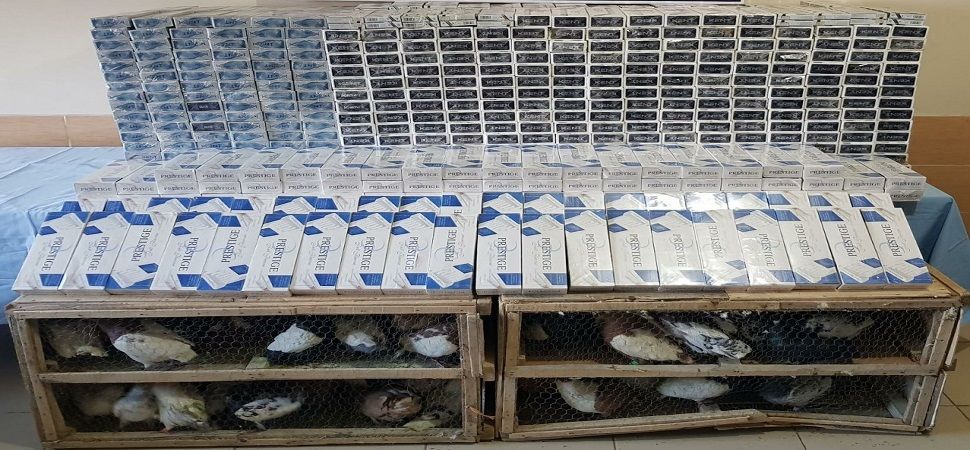 Başkale’de 7 bin 632 paket kaçak sigara ve 90 güvercin yakalandı