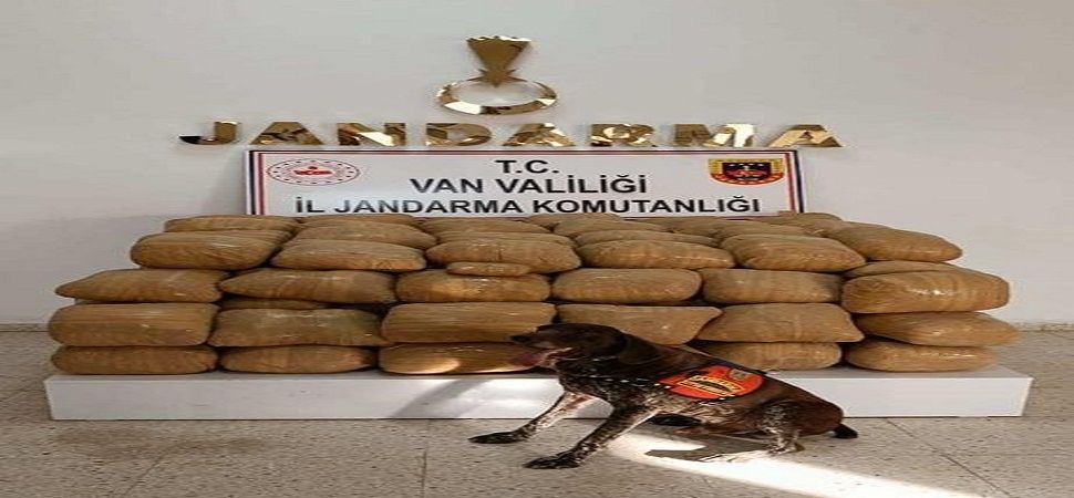 Bakan Soylu: Van\'ın Başkale ilçesinde 700 kilo toz esrar ele geçirildi
