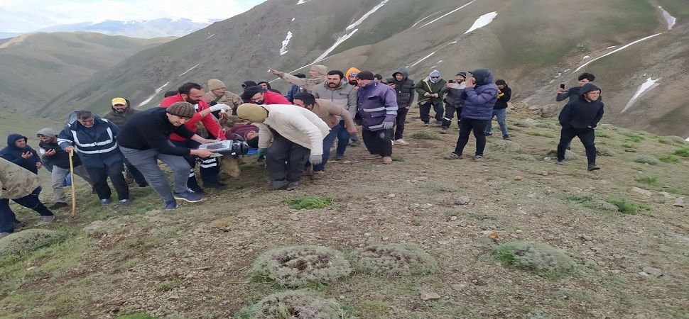 Başkale’de Çobanların üstüne yıldırım düştü: 2 yaralı