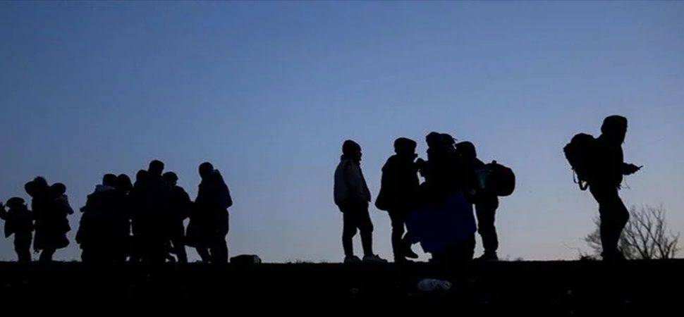 Başkale\'de 50 kaçak düzensiz göçmen yakalandı
