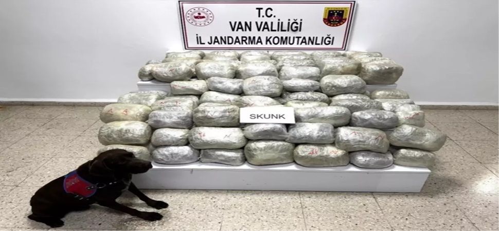 Başkale de 70 kilo skunk uyuşturucu ele geçirildi.