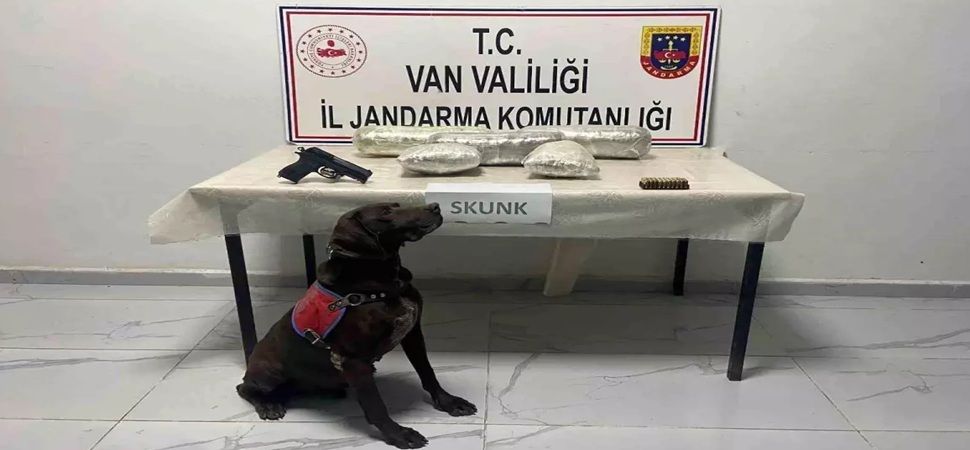 Başkale'de Uyuşturucu Madde Ele Geçirildi