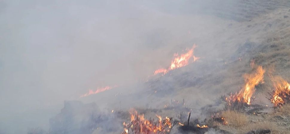 Başkale'de anız yangını meydana geldi