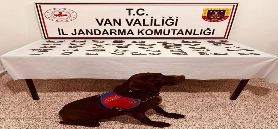 Başkale\'de Bonzai uyuşturucu madde Ele Geçirildi