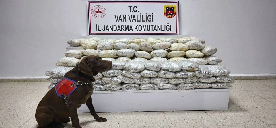 Başkale’de Jandarmadan zehir tacirlerine darbe