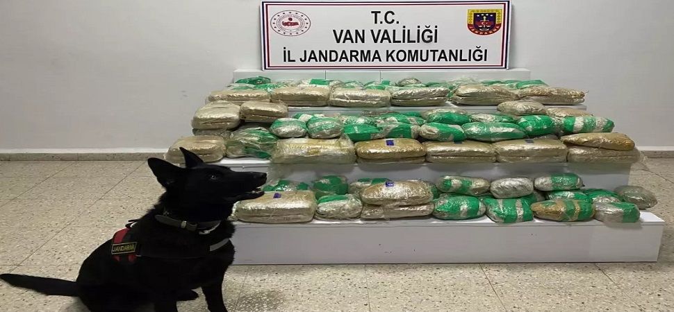Başkale’de 51 Kilo Skunk Ele Geçirildi.