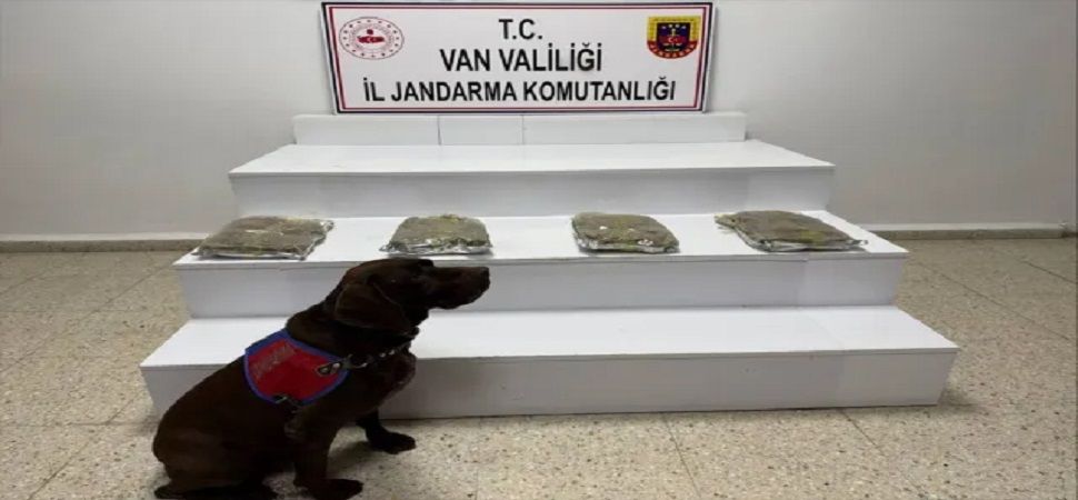 Başkale’de 5 kilo 250 gram esrar ele geçirildi