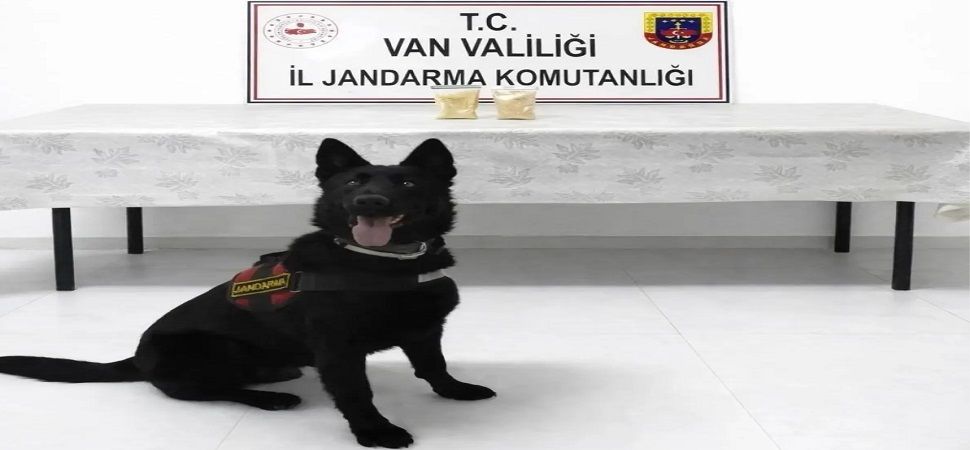 Başkale\'de 510 Gram Eroin Ele Geçirildi