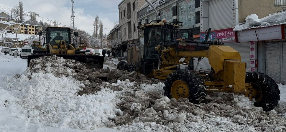 Başkale'de kar yağışı etkili oldu