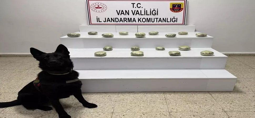 Başkale\'de 20 Kilo Esrar Ele Geçirildi