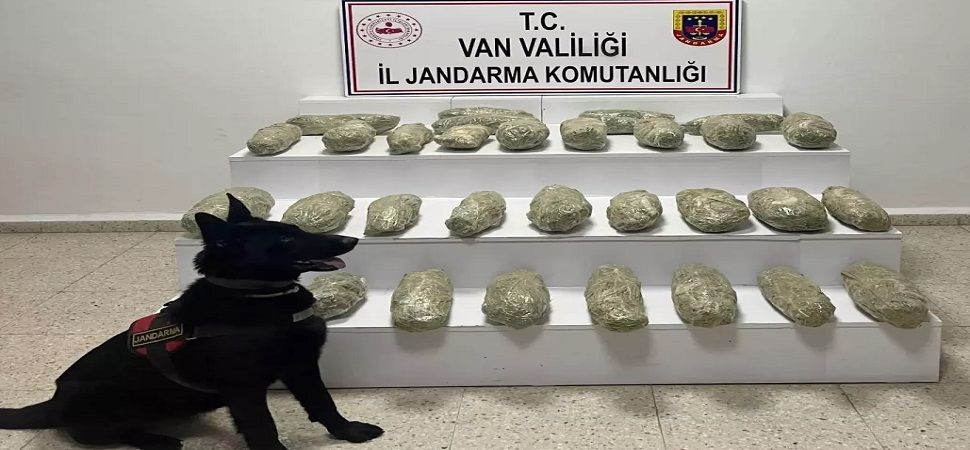 Başkale'de 21 Kilo Skunk Ele Geçirildi