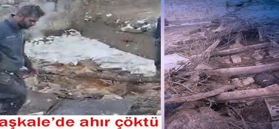 Başkale\'de ahır çöktü; 20 küçükbaş hayvan telef oldu.