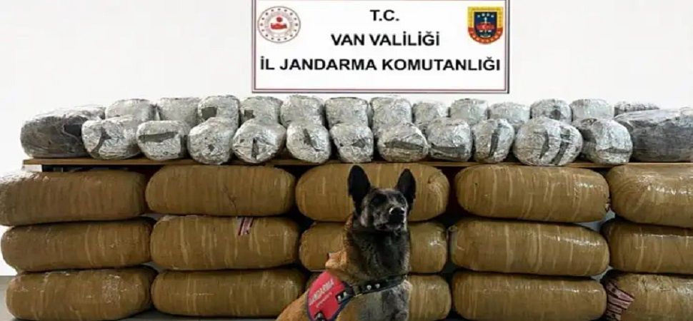 Van'ın ilçelerinde yarım tona yakın uyuşturucu ele geçirildi