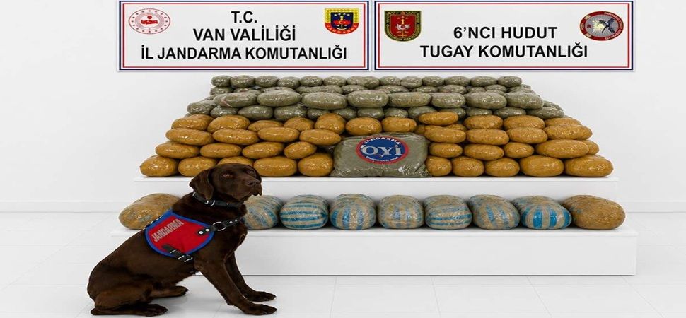 Başkale de sınır hattında 291 kilogram esrar ele geçirildi.