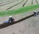 Başkaleli çiftçilerin hasadı bu sene kazanca dönüşmedi