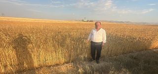 Başkale'de Buğday Hasadı Başladı