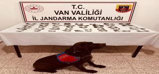 Başkale'de Bonzai uyuşturucu madde Ele Geçirildi