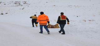 Başkale'de Soğuk Kış Günlerinde Yaban Hayatına Destek