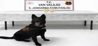 Başkale'de 510 Gram Eroin Ele Geçirildi