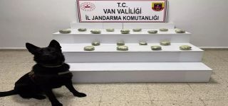 Başkale'de 20 Kilo Esrar Ele Geçirildi