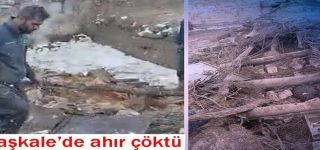 Başkale'de ahır çöktü; 20 küçükbaş hayvan telef oldu.